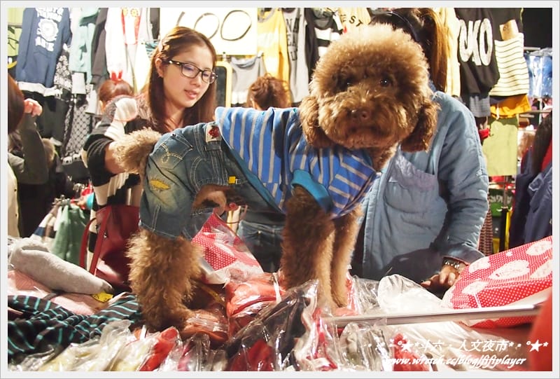 ▌迺夜市❤斗六．人文夜市．下集(鐵板另類刈包真的粉好吃) ▌