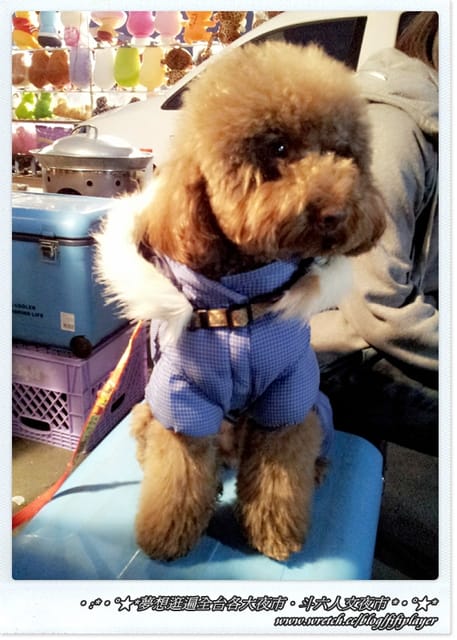 ▌迺夜市❤斗六．人文夜市．下集(鐵板另類刈包真的粉好吃) ▌