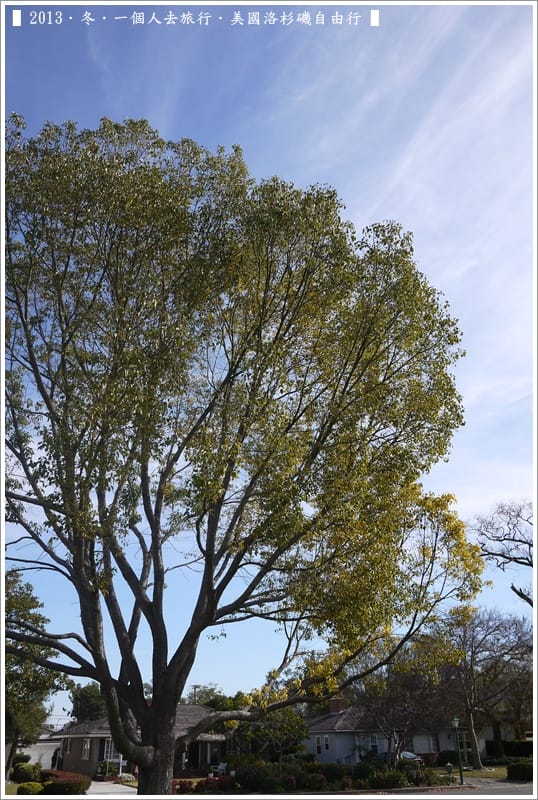 ▌2013．冬．一個人去旅行 ♫ 美國洛杉磯自由行．毫宅區野生孔雀趴趴造奇觀 ▌