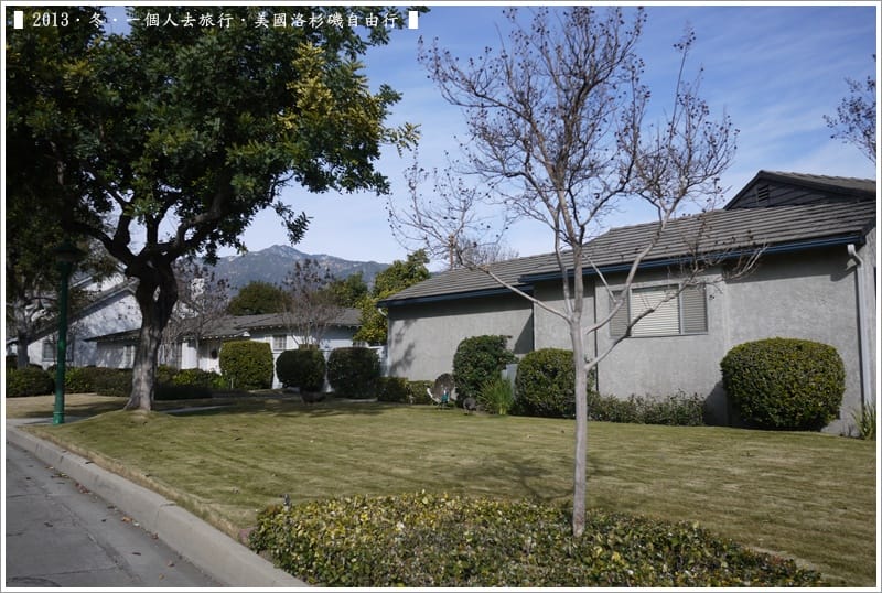 ▌2013．冬．一個人去旅行 ♫ 美國洛杉磯自由行．毫宅區野生孔雀趴趴造奇觀 ▌