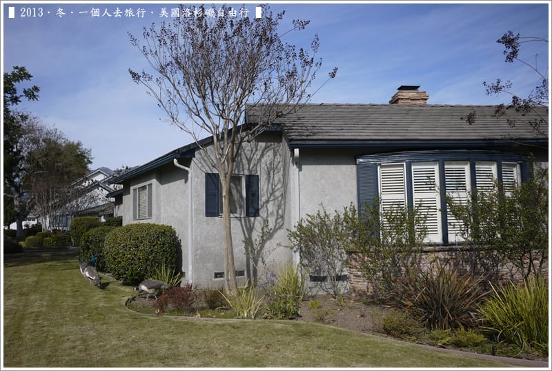 ▌2013．冬．一個人去旅行 ♫ 美國洛杉磯自由行．毫宅區野生孔雀趴趴造奇觀 ▌