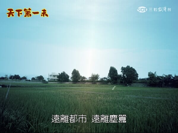 ▌2013❤五月手札．素人變身鄉土劇明星．鄉土劇相機APP好好玩 ▌