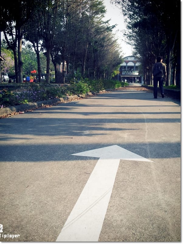 ▌雲林一日遊景點分享．徐若瑄廣告祕境拍攝地-拯民森林小學 ▌