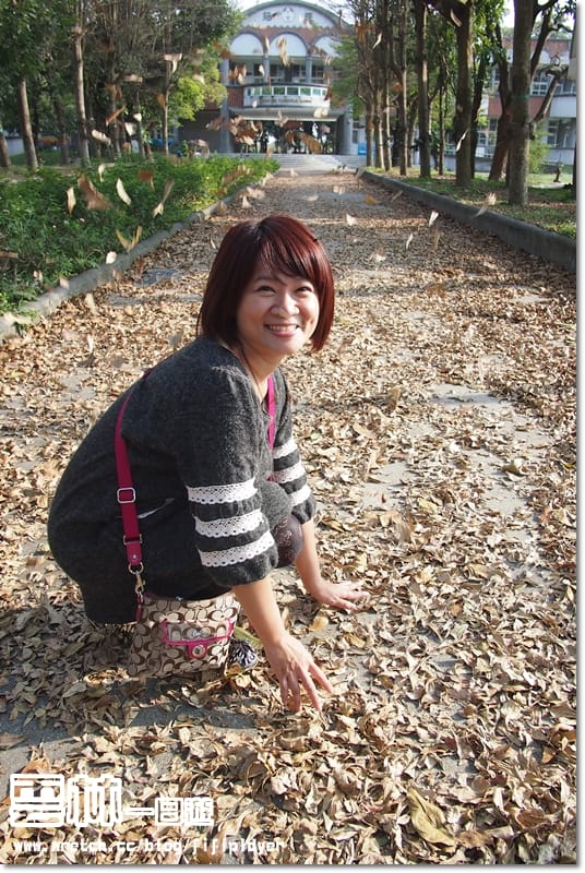 ▌雲林一日遊景點分享．徐若瑄廣告祕境拍攝地-拯民森林小學 ▌