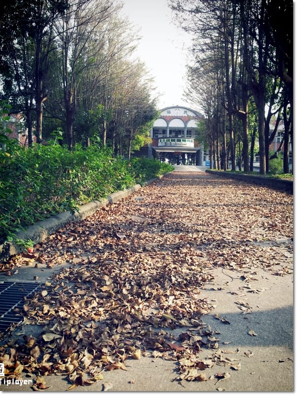 ▌雲林一日遊景點分享．徐若瑄廣告祕境拍攝地-拯民森林小學 ▌