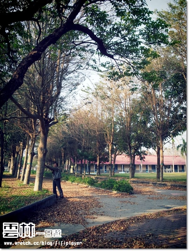 ▌雲林一日遊景點分享．徐若瑄廣告祕境拍攝地-拯民森林小學 ▌