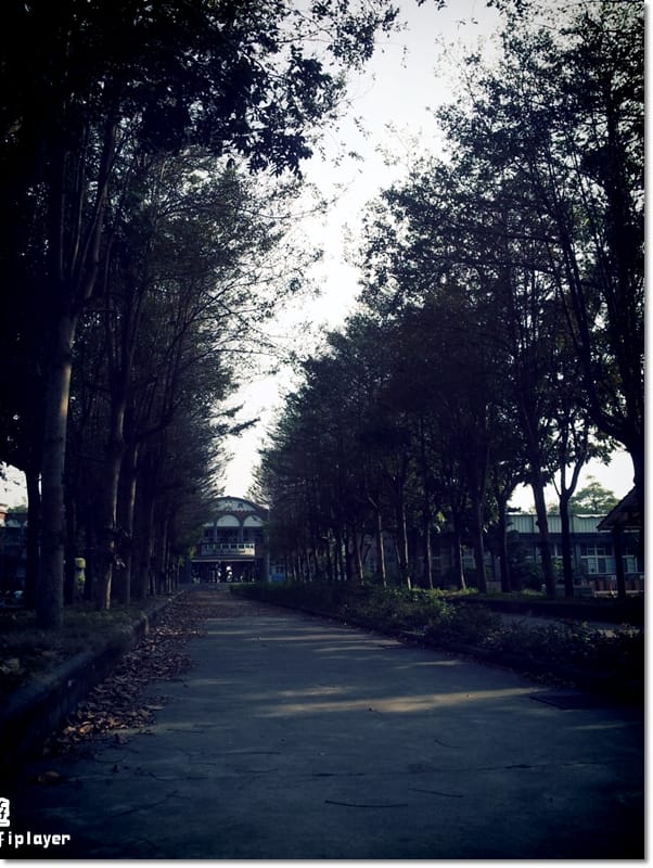 ▌雲林一日遊景點分享．徐若瑄廣告祕境拍攝地-拯民森林小學 ▌