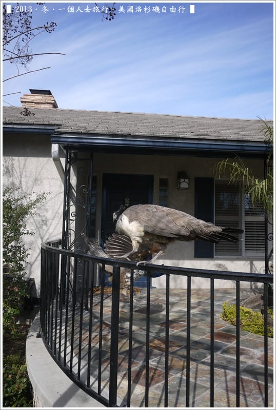 ▌2013❤六月手札．那些…幸福小日子 ▌