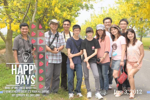 季節限定｜六月限定．黃金阿勃勒外拍日誌(嘉義+台南黃金阿勃勒景點)