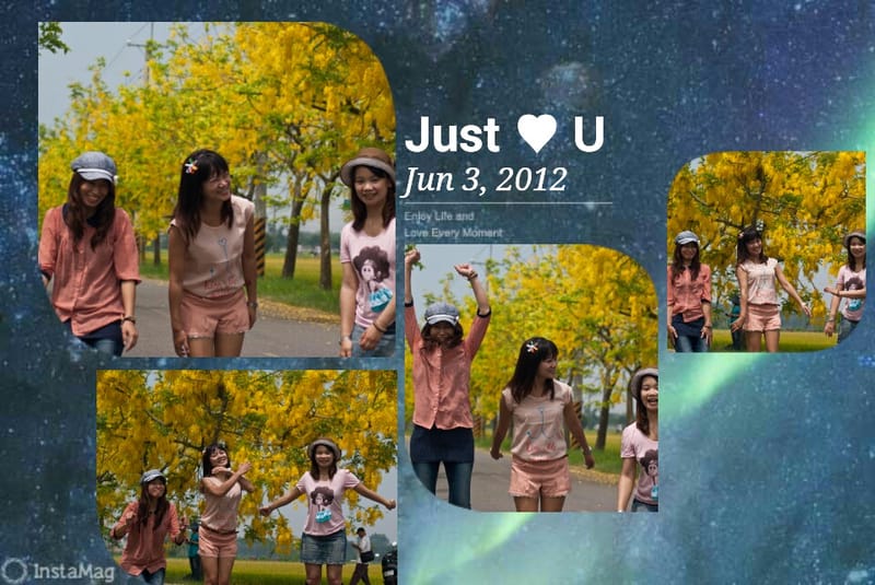 季節限定｜六月限定．黃金阿勃勒外拍日誌(嘉義+台南黃金阿勃勒景點)