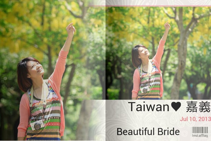 季節限定｜六月限定．黃金阿勃勒外拍日誌(嘉義+台南黃金阿勃勒景點)