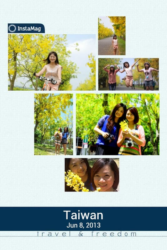 季節限定｜六月限定．黃金阿勃勒外拍日誌(嘉義+台南黃金阿勃勒景點)