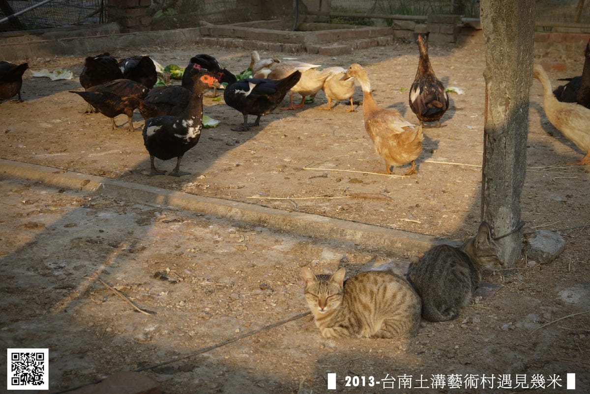 土溝幾米遊記44.JPG