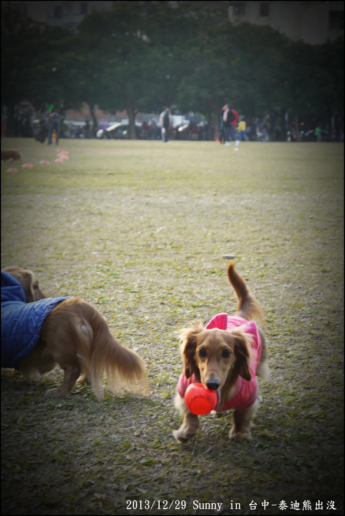 2013台中熊出沒93.JPG