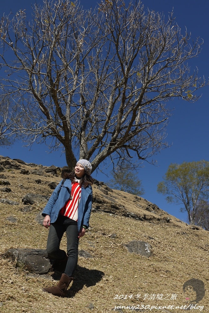 2014.冬季清境之旅-17.JPG