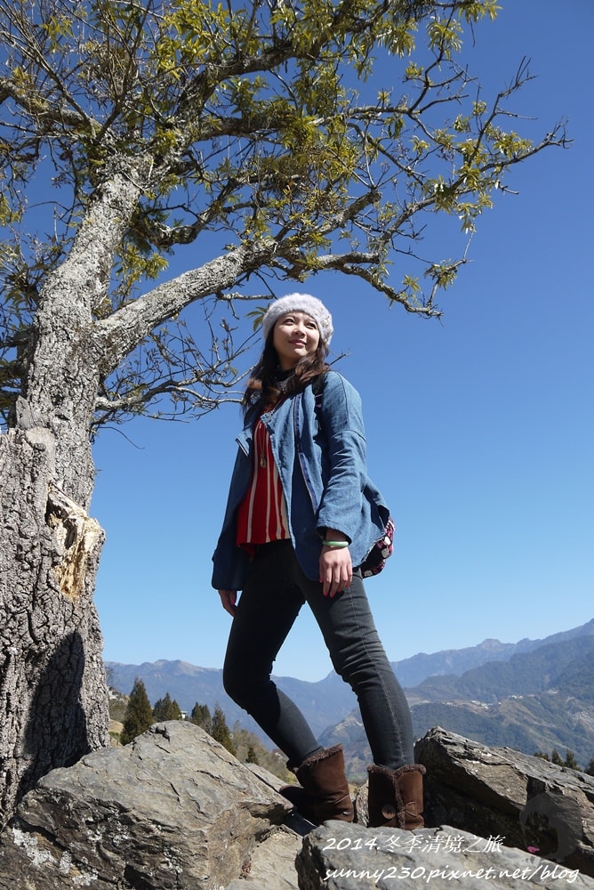 2014.冬季清境之旅-25.JPG