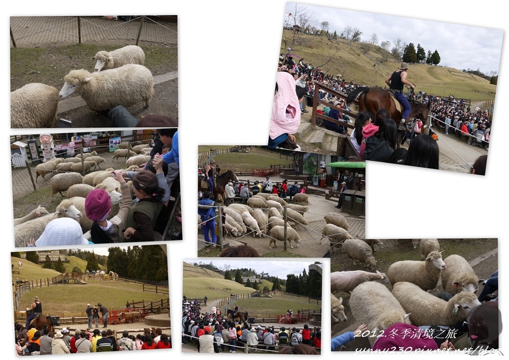 2012.冬季清境之旅-part2-30.jpg