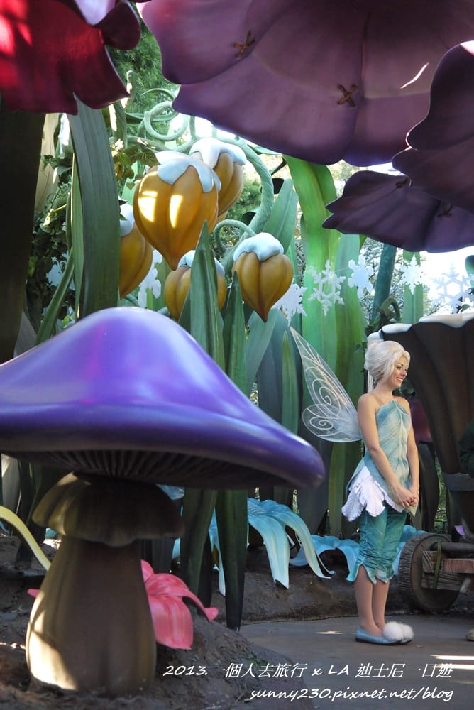 2013LA迪士尼一日遊477.JPG