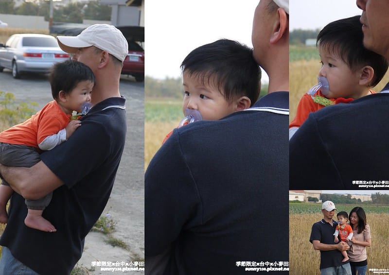 台中幫麥田趣 (9)