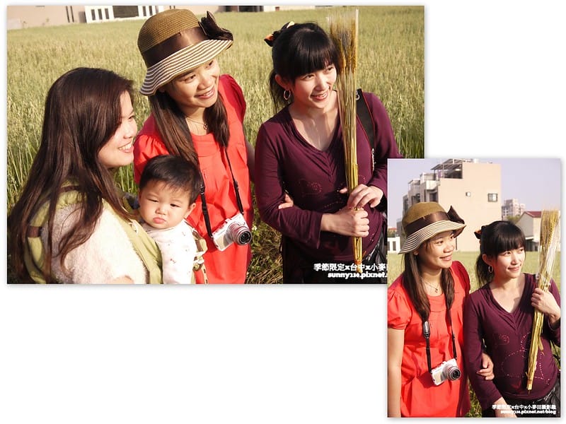 台中幫麥田趣 (14)