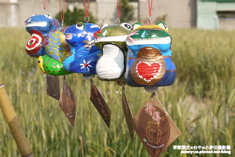 台中幫麥田趣51