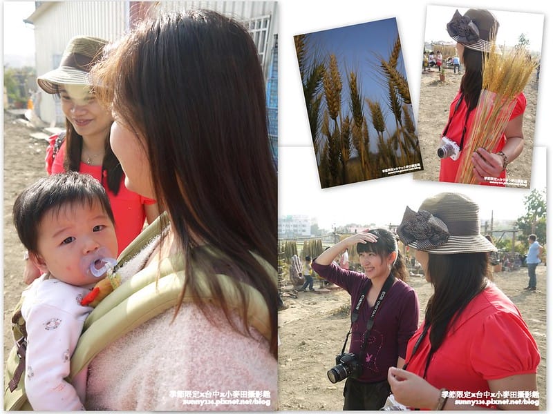 台中幫麥田趣 (15)