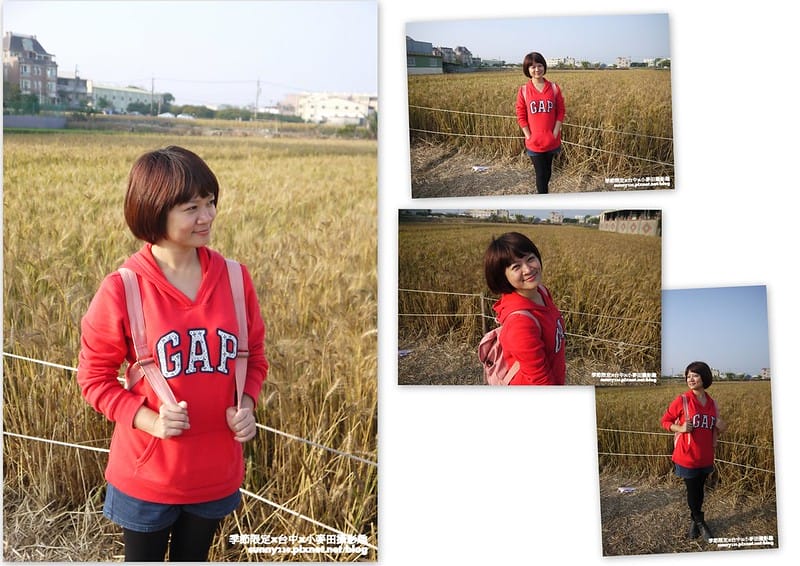 台中幫麥田趣 (11)