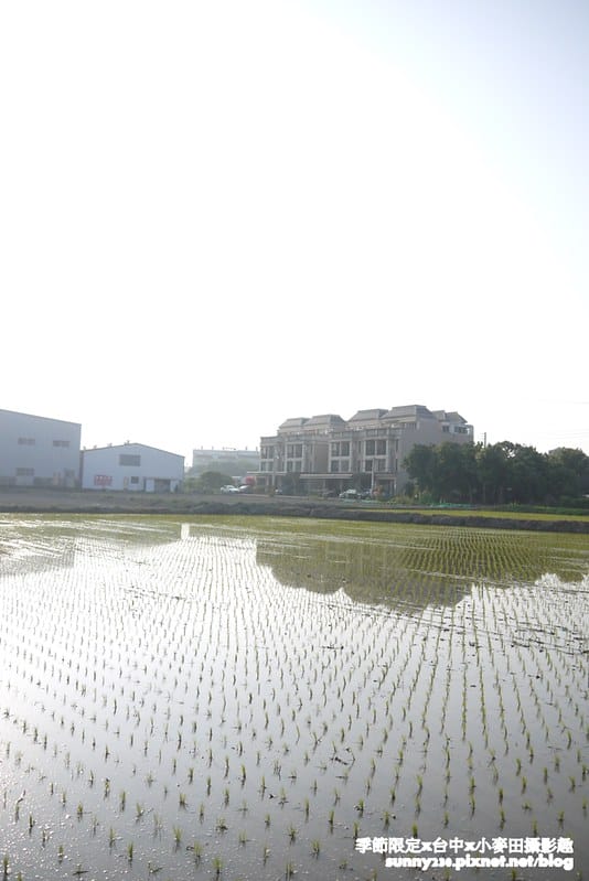 台中幫麥田趣122