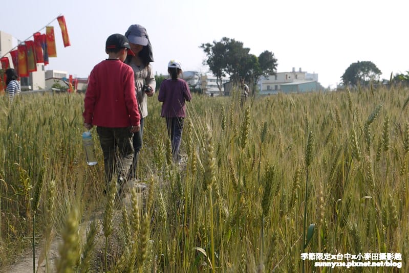 台中幫麥田趣42