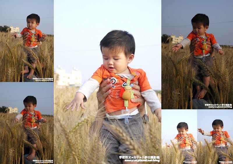 台中幫麥田趣 (6)