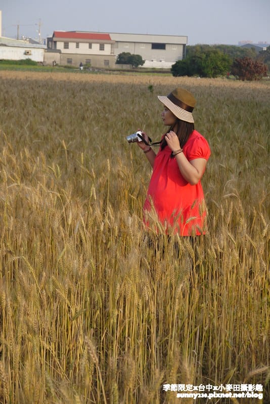 台中幫麥田趣180