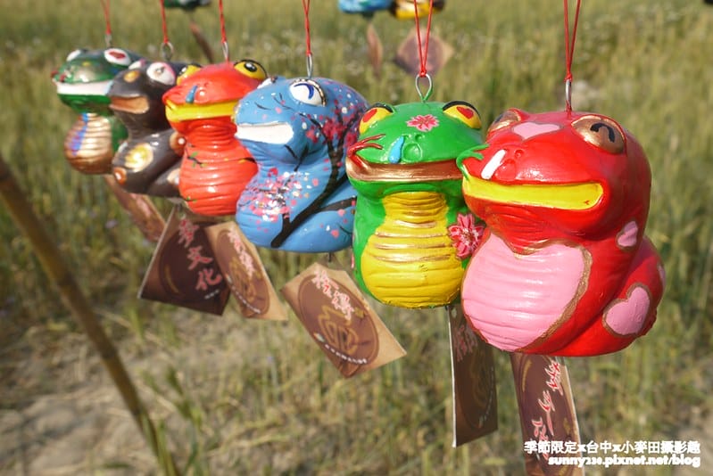 台中幫麥田趣53