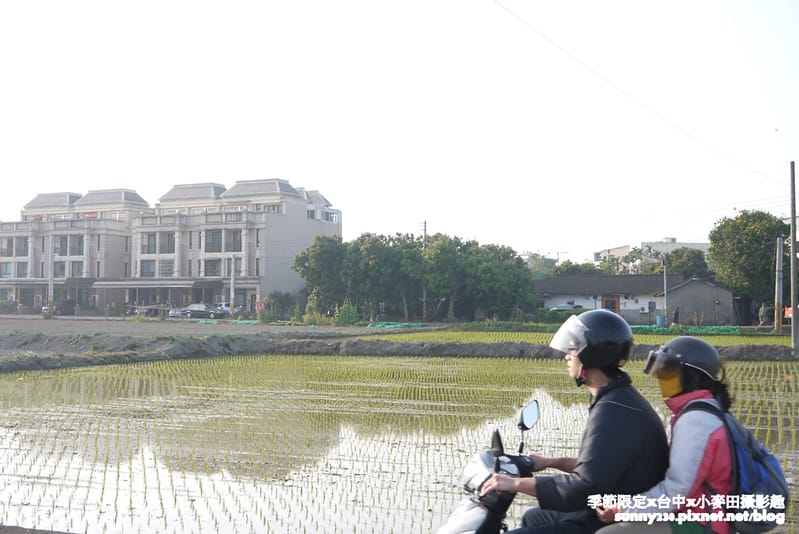 台中幫麥田趣119