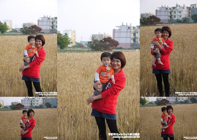 台中幫麥田趣 (10)