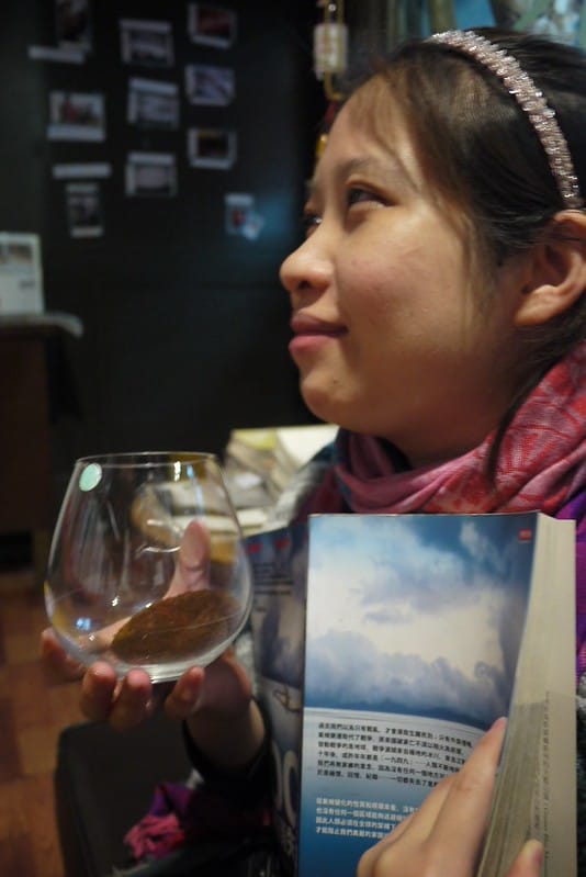 2012-02-28 咖啡下午茶-國王蝴蝶秘密基地 048