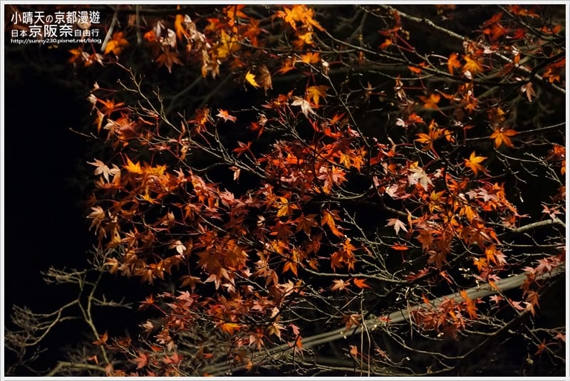 一個人的京阪奈自由行｜神秘莊嚴寂靜八阪神社．夜拍篇