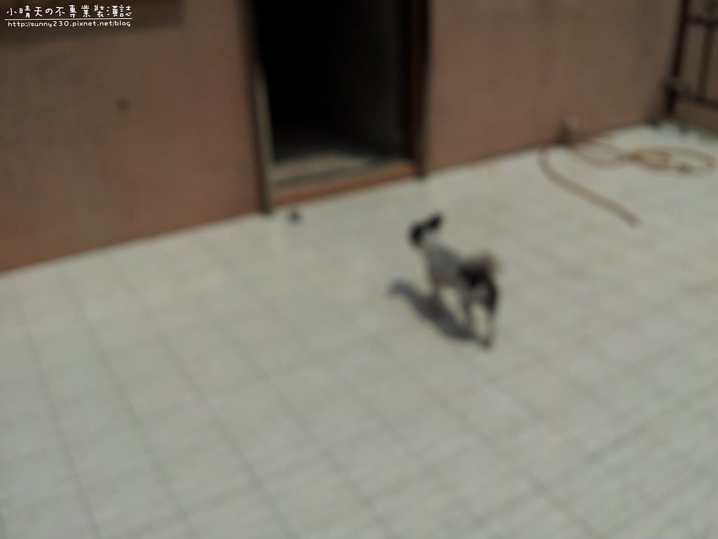 泥作_水電_20130907-112