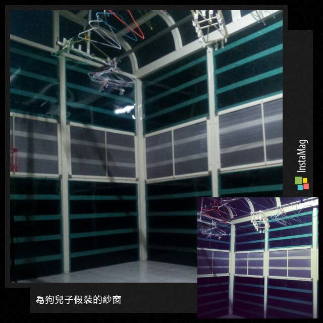 1912427_734903979861556_882058766_n