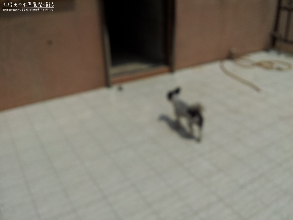 泥作_水電_20130907-112