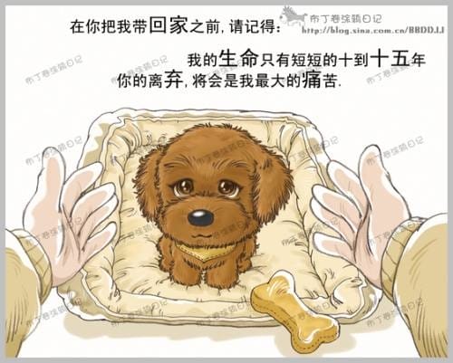 906c39ca402ad5413345dfb9b11534de4Pooo8