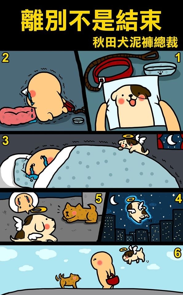 家有心臟病犬兒狗狗心臟病半年近況日誌