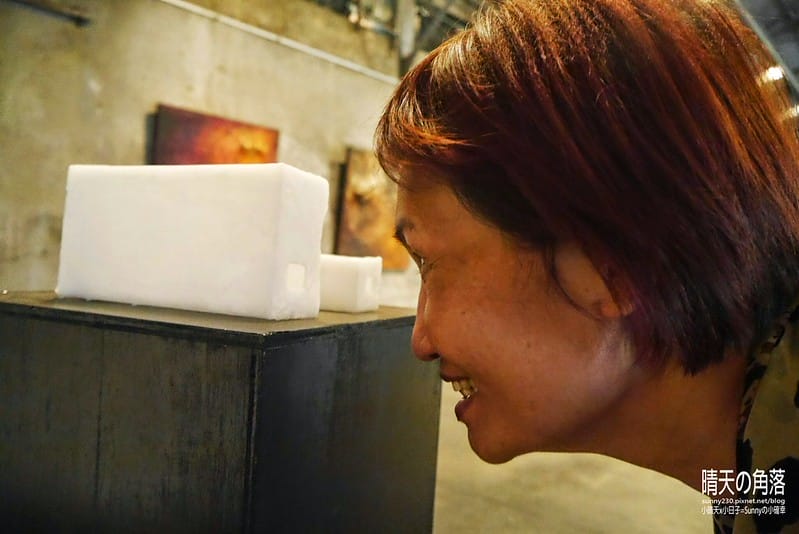 帶媽媽去旅行-嘉義篇55