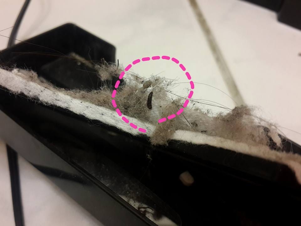 12106705_1058455904173027_2325073900677990395_n