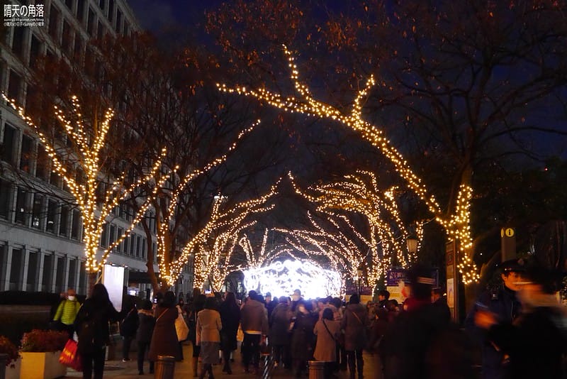 大阪光之饗宴14