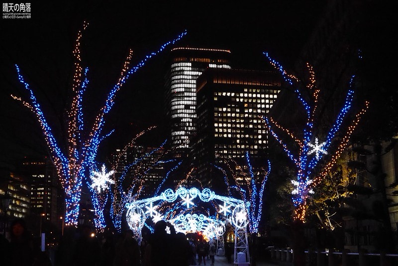 大阪光之饗宴24