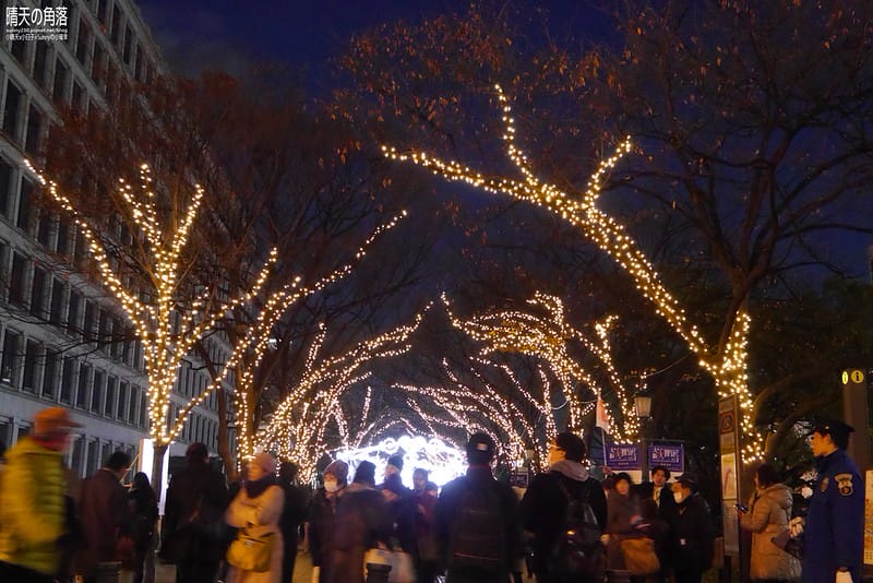 大阪光之饗宴15