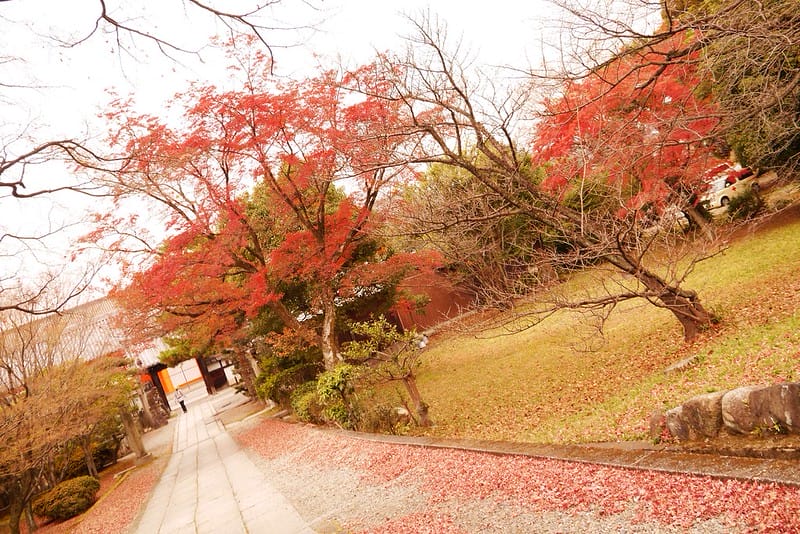 日本京阪奈自由行｜Day4