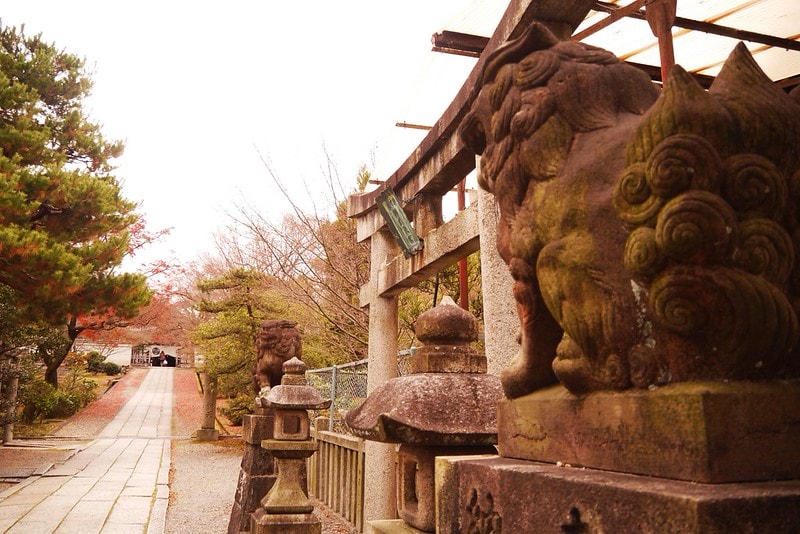 日本京阪奈自由行Day4