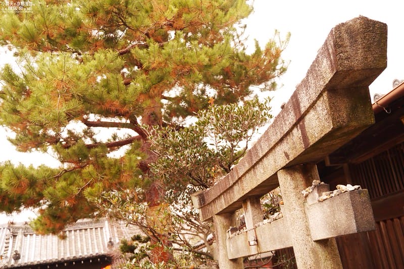 日本京阪奈自由行｜Day4