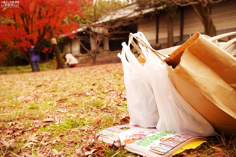 日本京阪奈自由行Day4